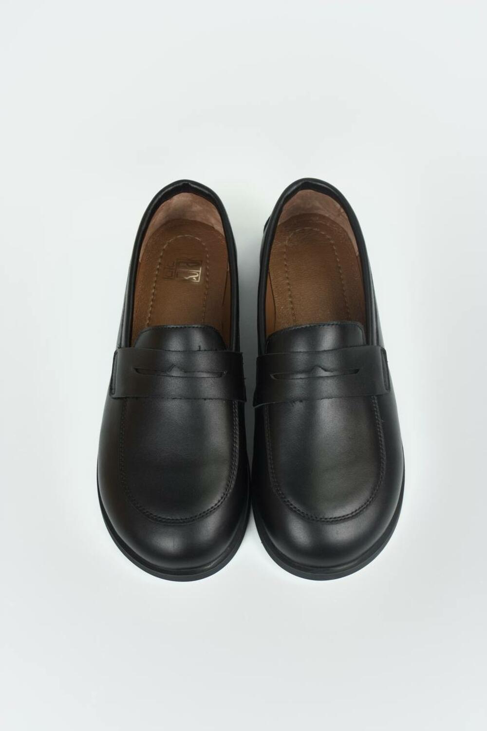 Лофери анатомічні, ШКІРА, T0325 